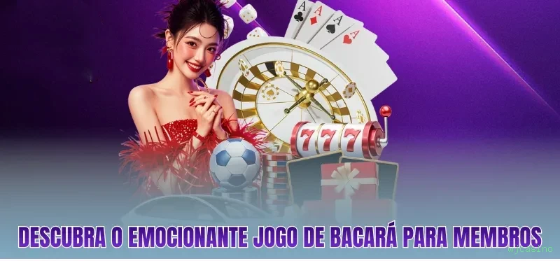 Programa VIP wjcasino